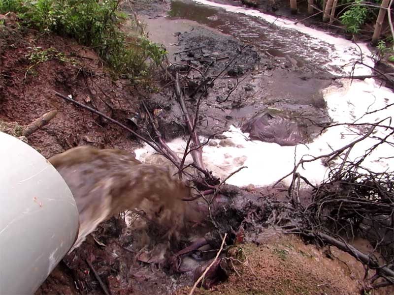 Giải pháp xử lý nước thải lò mổ theo QCVN 40:2025/BTNMT – Đáp ứng yêu cầu môi trường mới nhất