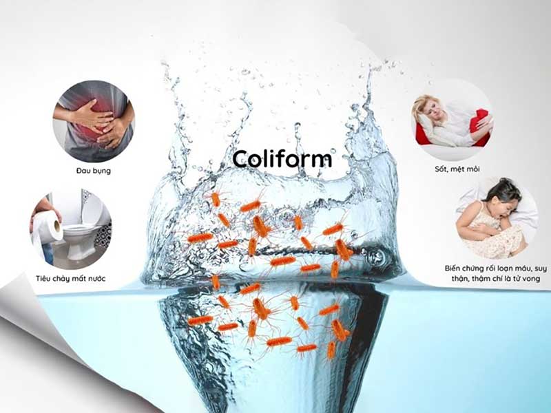Lọc nước sinh hoạt loại bỏ vi khuẩn coliform – Giải pháp bảo vệ sức khỏe cộng đồng