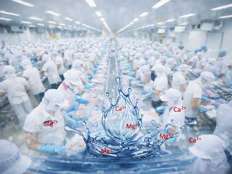 Xử Lý Nước Cứng Trong Sản Xuất Thực Phẩm: Giải Pháp Đảm Bảo Chất Lượng Và An Toàn