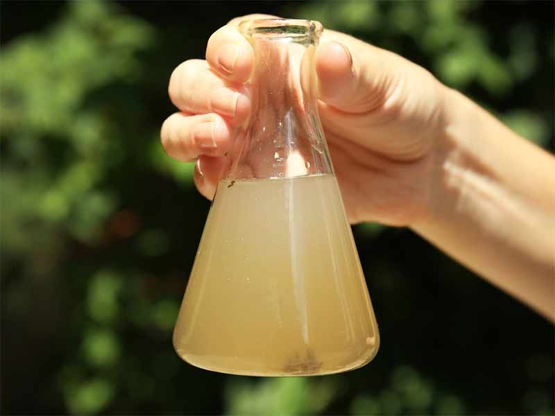 Cách xử lý nước giếng khoan bị nhiễm amoni vượt ngưỡng cho phép