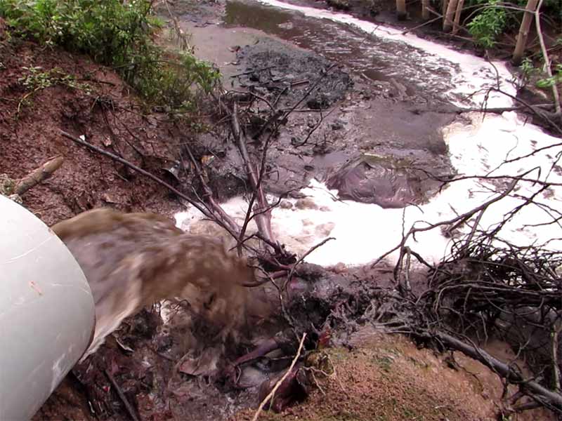 Nước thải lò mổ: Đặc điểm, thách thức và giải pháp xử lý hiệu quả