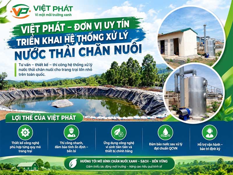 Xử Lý Nước Thải Chăn Nuôi Hiệu Quả