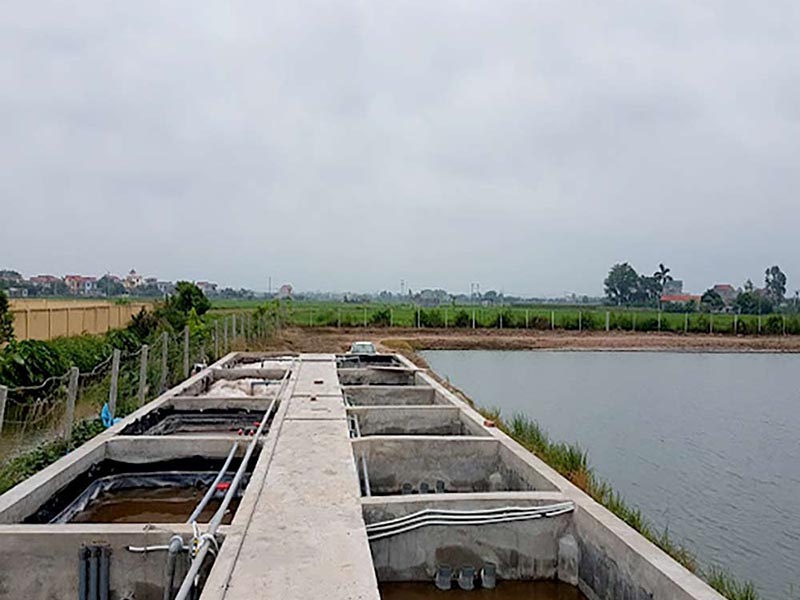 Hệ thống xử lý nước thải chăn nuôi công suất 900m3/24h tại Bắc Ninh