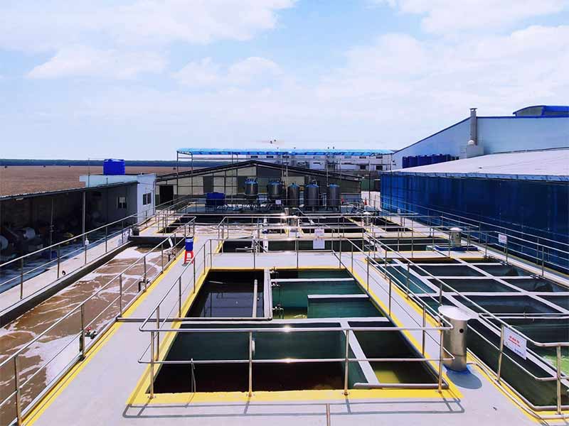 Chi phí xây dựng hệ thống xử lý nước thải là bao nhiêu?