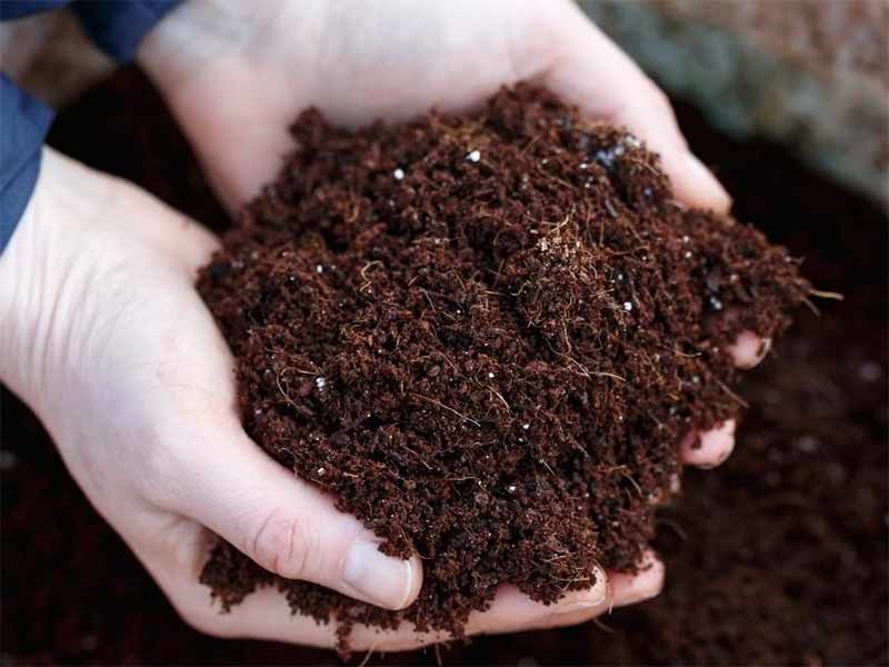 Tái Sử Dụng Bùn Vi Sinh Làm Phân Bón Hữu Cơ: Hướng Tiếp Cận Bền Vững Trong Quản Lý Chất Thải