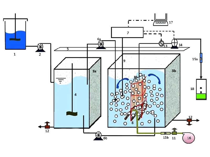 Những Lưu Ý Khi Thiết Kế Bể Anoxic – Đừng Bỏ Qua Nếu Muốn Hệ Thống Vận Hành Hiệu Quả