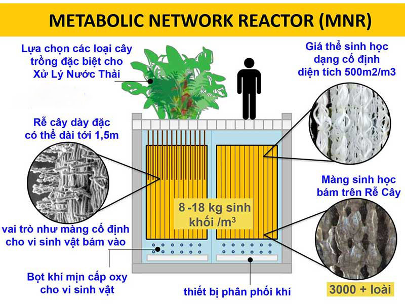 Công Nghệ Biopolus – Giải Pháp Xanh Cho Xử Lý Nước Thải Hiện Đại