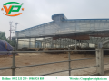 Hệ thống máy khử mùi chăn nuôi tại Trại bò thịt công nghệ cao – Tập đoàn Hòa Phát
