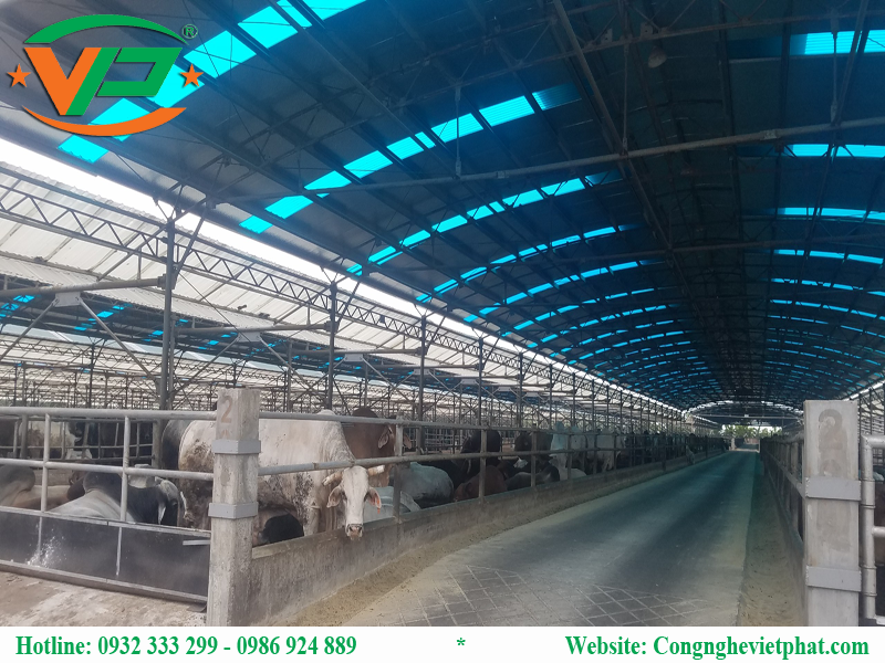 Hệ thống xử lý nước thải chăn nuôi bò công suất 300m3/24h
